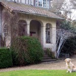 chien de garde à l’entrée